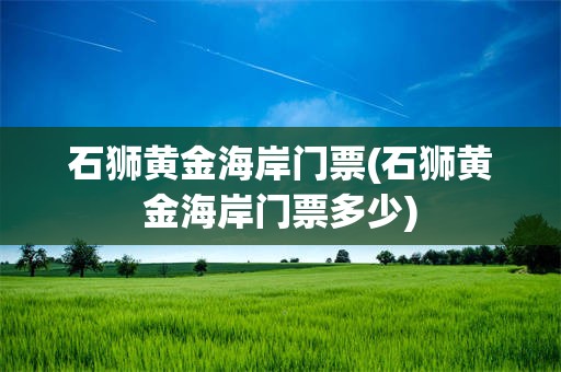 石狮黄金海岸门票(石狮黄金海岸门票多少)