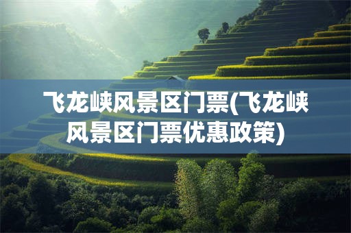 飞龙峡风景区门票(飞龙峡风景区门票优惠政策)