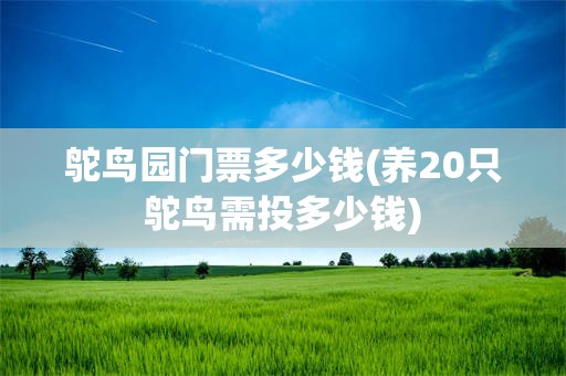 鸵鸟园门票多少钱(养20只鸵鸟需投多少钱)