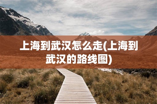 上海到武汉怎么走(上海到武汉的路线图)