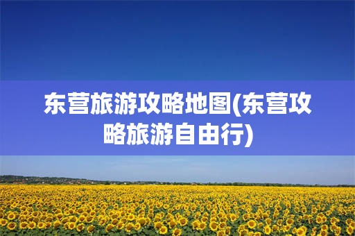 东营旅游攻略地图(东营攻略旅游自由行)