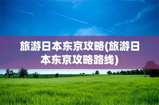 旅游日本东京攻略(旅游日本东京攻略路线)
