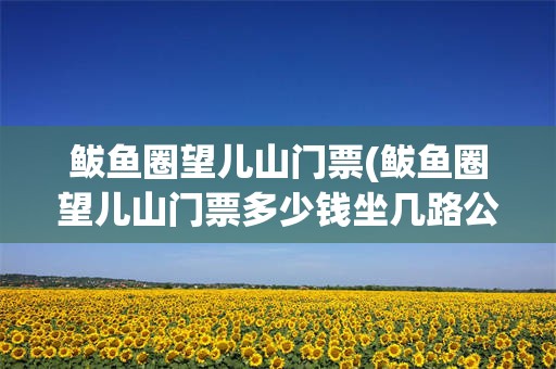 鲅鱼圈望儿山门票(鲅鱼圈望儿山门票多少钱坐几路公交车能到)