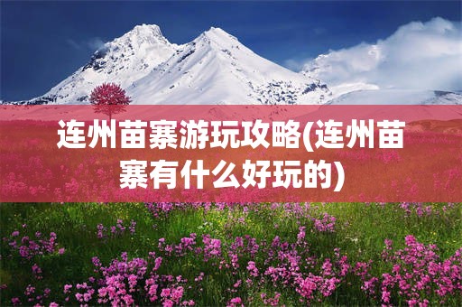 连州苗寨游玩攻略(连州苗寨有什么好玩的)