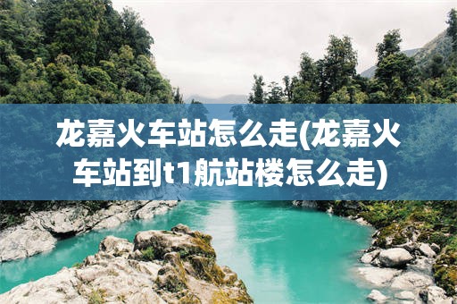 龙嘉火车站怎么走(龙嘉火车站到t1航站楼怎么走)