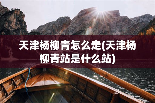 天津杨柳青怎么走(天津杨柳青站是什么站)