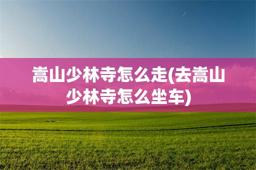 嵩山少林寺怎么走(去嵩山少林寺怎么坐车)