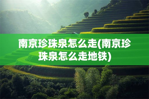 南京珍珠泉怎么走(南京珍珠泉怎么走地铁)