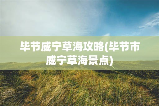 毕节威宁草海攻略(毕节市威宁草海景点)