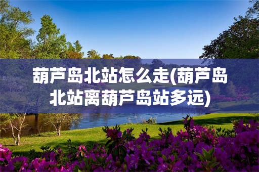 葫芦岛北站怎么走(葫芦岛北站离葫芦岛站多远)
