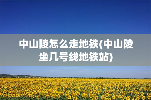 中山陵怎么走地铁(中山陵坐几号线地铁站)