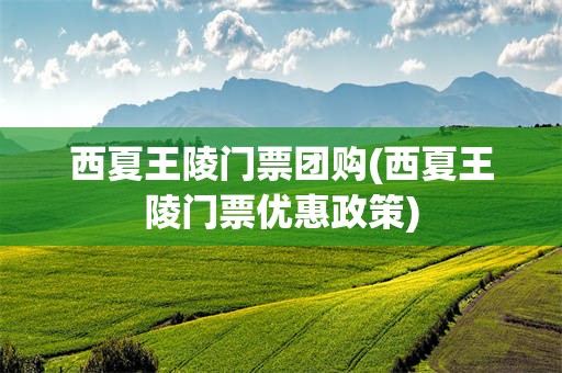 西夏王陵门票团购(西夏王陵门票优惠政策)