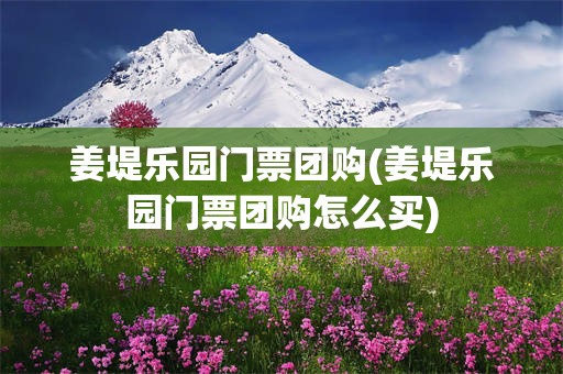 姜堤乐园门票团购(姜堤乐园门票团购怎么买)