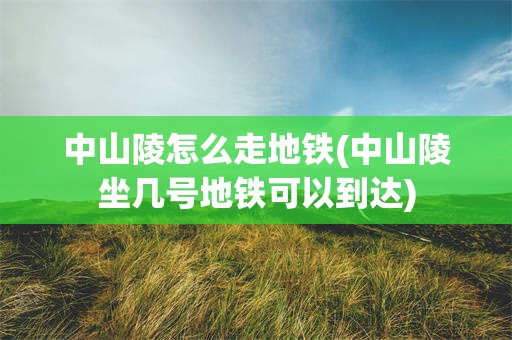 中山陵怎么走地铁(中山陵坐几号地铁可以到达)