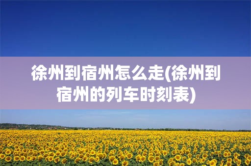 徐州到宿州怎么走(徐州到宿州的列车时刻表)