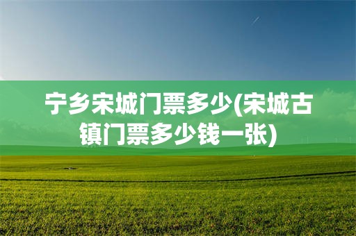 宁乡宋城门票多少(宋城古镇门票多少钱一张)
