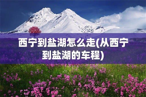 西宁到盐湖怎么走(从西宁到盐湖的车程)