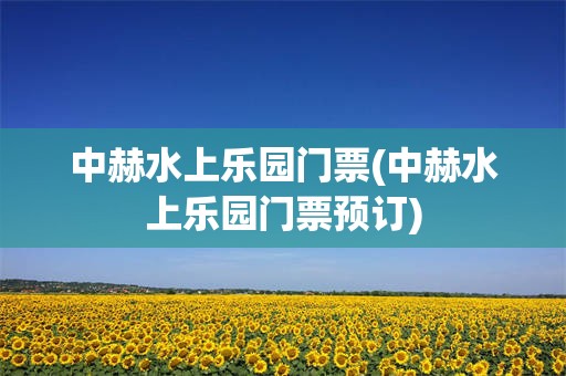 中赫水上乐园门票(中赫水上乐园门票预订)