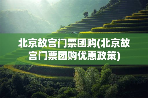 北京故宫门票团购(北京故宫门票团购优惠政策)