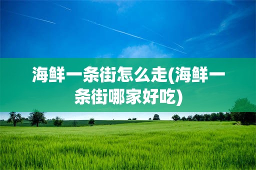 海鲜一条街怎么走(海鲜一条街哪家好吃)