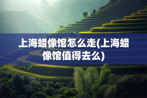上海蜡像馆怎么走(上海蜡像馆值得去么)