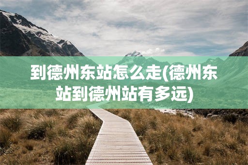 到德州东站怎么走(德州东站到德州站有多远)