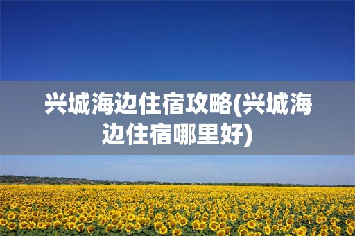 兴城海边住宿攻略(兴城海边住宿哪里好)