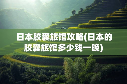 日本胶囊旅馆攻略(日本的胶囊旅馆多少钱一晚)