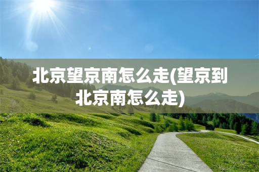 北京望京南怎么走(望京到北京南怎么走)