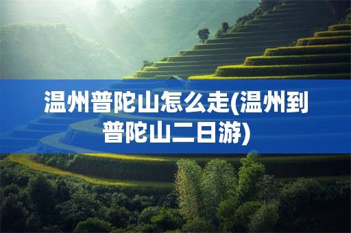 温州普陀山怎么走(温州到普陀山二日游)
