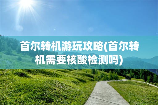 首尔转机游玩攻略(首尔转机需要核酸检测吗)
