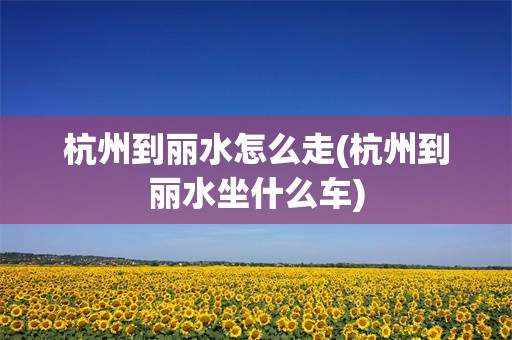 杭州到丽水怎么走(杭州到丽水坐什么车)