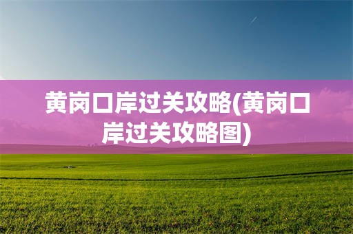 黄岗口岸过关攻略(黄岗口岸过关攻略图)