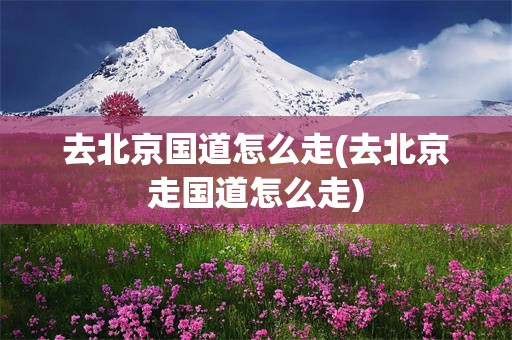 去北京国道怎么走(去北京走国道怎么走)