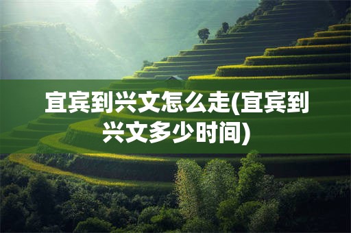 宜宾到兴文怎么走(宜宾到兴文多少时间)