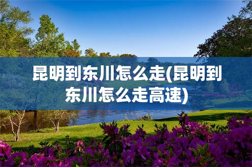 昆明到东川怎么走(昆明到东川怎么走高速)