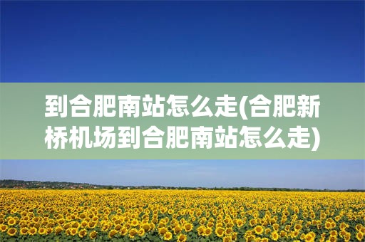 到合肥南站怎么走(合肥新桥机场到合肥南站怎么走)