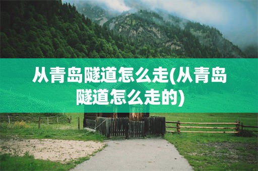 从青岛隧道怎么走(从青岛隧道怎么走的)