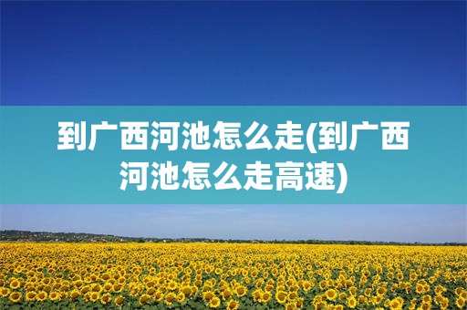 到广西河池怎么走(到广西河池怎么走高速)