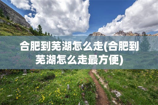 合肥到芜湖怎么走(合肥到芜湖怎么走最方便)