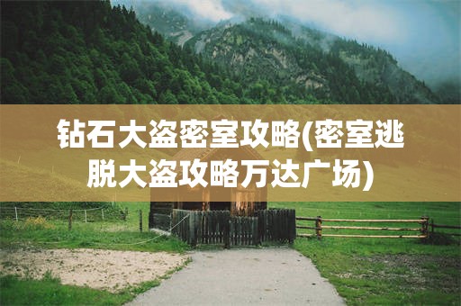 钻石大盗密室攻略(密室逃脱大盗攻略万达广场)