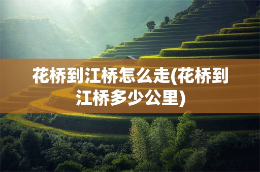 花桥到江桥怎么走(花桥到江桥多少公里)