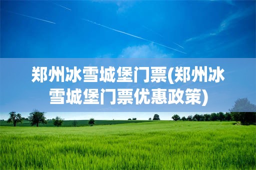 郑州冰雪城堡门票(郑州冰雪城堡门票优惠政策)