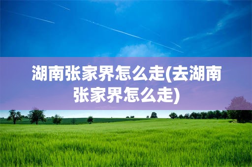 湖南张家界怎么走(去湖南张家界怎么走)