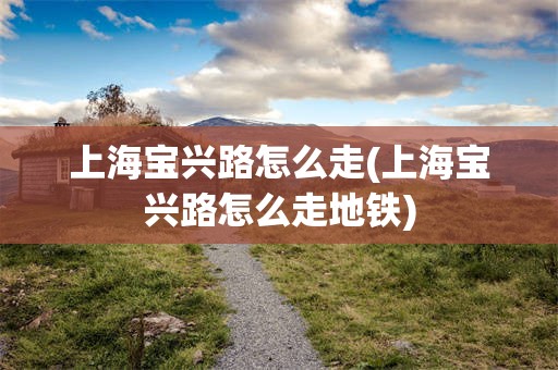上海宝兴路怎么走(上海宝兴路怎么走地铁)