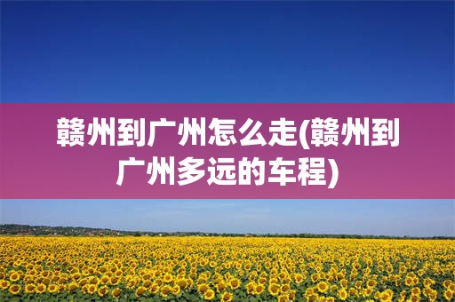 赣州到广州怎么走(赣州到广州多远的车程)