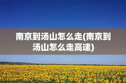 南京到汤山怎么走(南京到汤山怎么走高速)