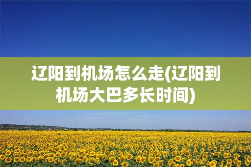 辽阳到机场怎么走(辽阳到机场大巴多长时间)
