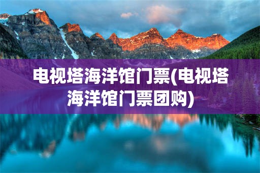电视塔海洋馆门票(电视塔海洋馆门票团购)
