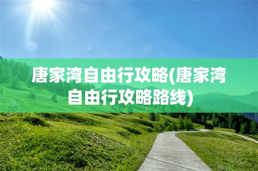 唐家湾自由行攻略(唐家湾自由行攻略路线)